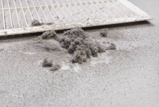 Best HVAC Maintenance and Cleaning  in Bloomington, MN