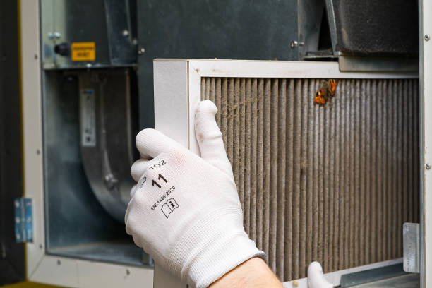 Best Affordable Air Duct Cleaning  in Bloomington, MN