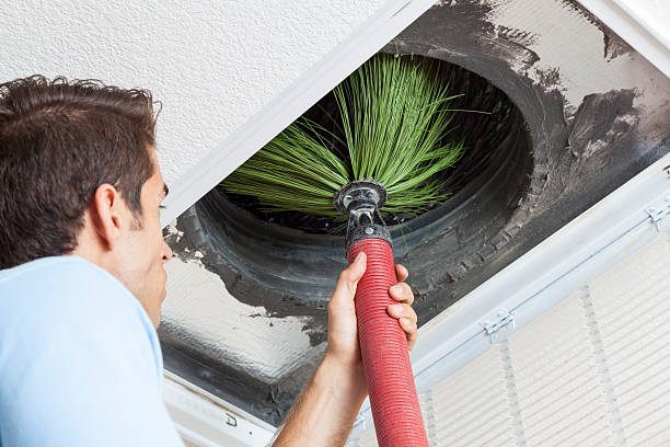 Best Air Duct Sanitizing Services  in Bloomington, MN